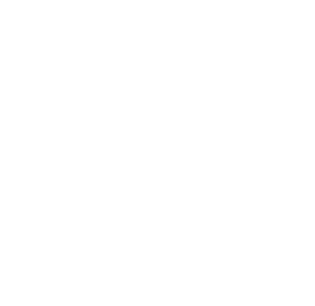 Global reach. Regional support.